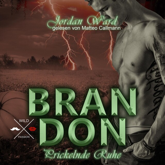 Book cover for Brandon - Secret Desire - Prickelnde Ruhe, Band 3 (ungekürzt)