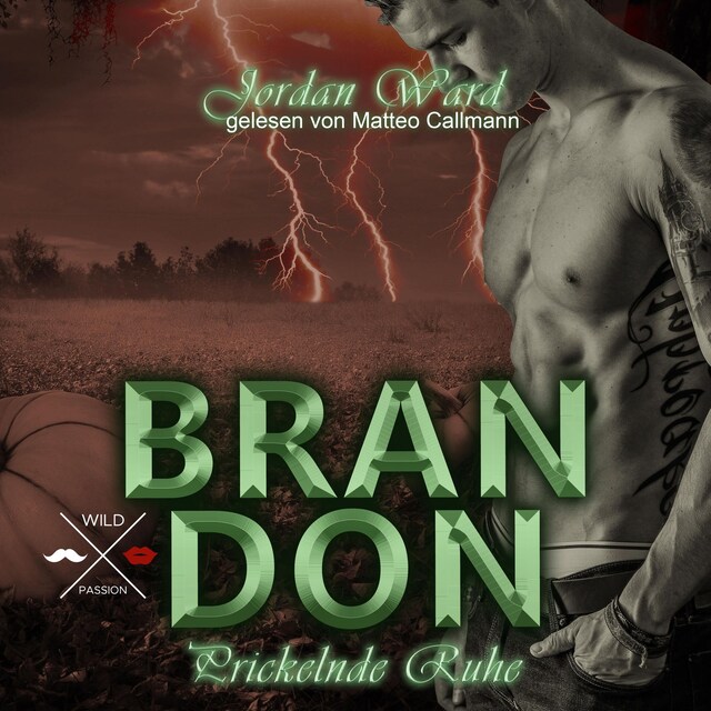 Buchcover für Brandon - Secret Desire - Prickelnde Ruhe, Band 3 (ungekürzt)