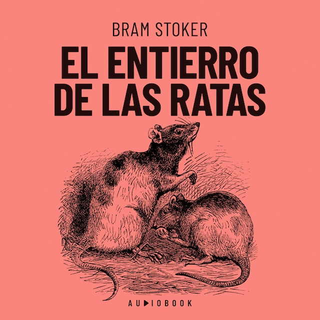 Book cover for El entierro de las ratas