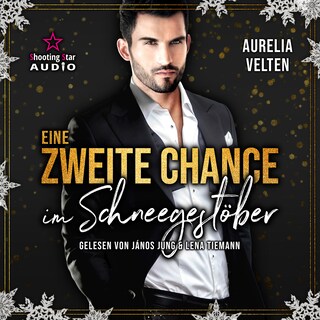 Eine zweite Chance im Schneegestöber - Der Club der Bibliothekarinnen, Band 2 (ungekürzt) als Hörbuch