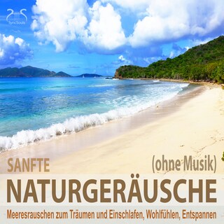 Sanfte Naturgeräusche (ohne Musik) - Meeresrauschen zum Träumen und Einschlafen, Wohlfühlen, Entspannen - Wellenrauschen pur, sanfte Naturgeräusche pur als Hörbuch