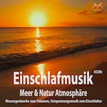 Einschlafmusik (432Hz) Meer Natur Atmosphäre: Wassergeräusche zum Träumen - Entspannungsmusik zum Einschlafen, Meeresauschen, Seevögel