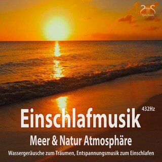 Einschlafmusik (432Hz) Meer Natur Atmosphäre: Wassergeräusche zum Träumen - Entspannungsmusik zum Einschlafen, Meeresauschen, Seevögel als Hörbuch