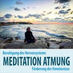 Meditation Atmung, Beruhigung des Nervensystems und Förderung der Homöostase - Bewusst Atmen - angeleitete Übung