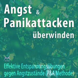 Angst und Panikattacken überwinden: Effektive Entspannungsübungen gegen Angstzustände - (P&A Methode und Thymusdrüse Klopfen) Angst Loswerden als Hörbuch