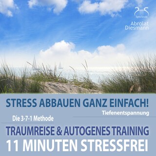 11 Minuten Stressfrei - Stress abbauen ganz einfach! Traumreise ans Meer & Autogenes Training - Tiefenentspannung als Hörbuch