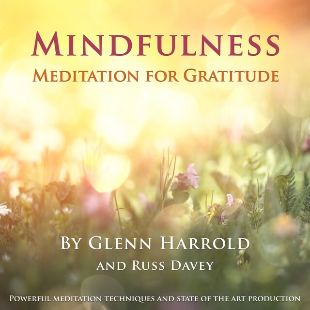 Book cover for Mindfulness Meditation for Gratitude (unabridged)