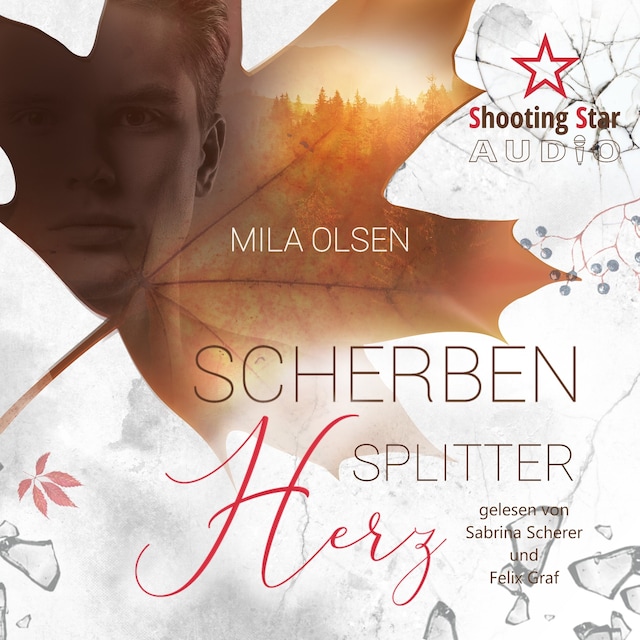 Book cover for Scherbensplitterherz (ungekürzt)