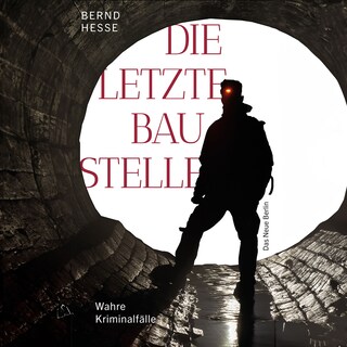 Die letzte Baustelle - Authentische Kriminalfälle, Band 3 (ungekürzt) als Hörbuch