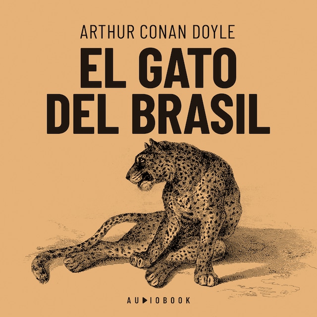 Book cover for El gato de Brasil