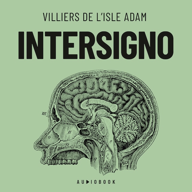 Book cover for Intersigno