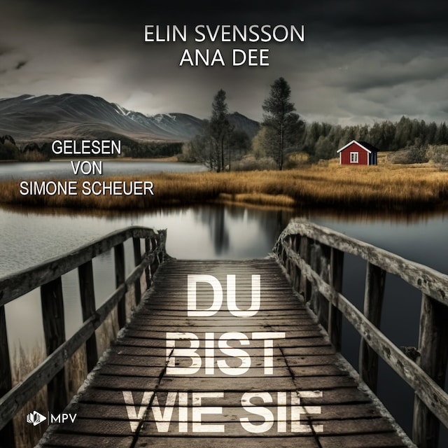 Book cover for Du bist wie sie: Schweden-Krimi (ungekürzt)