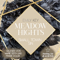 Meadow Hights: Small Town Sin - New York Gentlemen, Band 11 (ungekürzt)