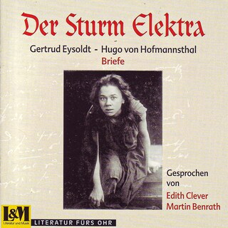 Der Sturm Elektra - Briefe (ungekürzt) als Hörbuch
