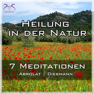 Heilung in der Natur - 7 einzigartige geführte Meditationen zum Auftanken im Alltag - mit Naturklängen und Entspannungsmusik - SyncSouls Kurz-Meditationen Vol. 1 als Hörbuch
