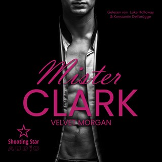 Mister Clark - Wounded Heroes, Band 4 (ungekürzt) als Hörbuch
