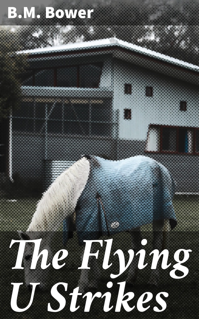 Book cover for The Flying U Strikes