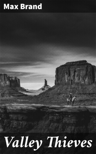 Valley Thieves bookCoverFor
