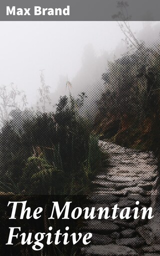 The Mountain Fugitive bookCoverFor