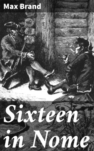 Sixteen in Nome bookCoverFor