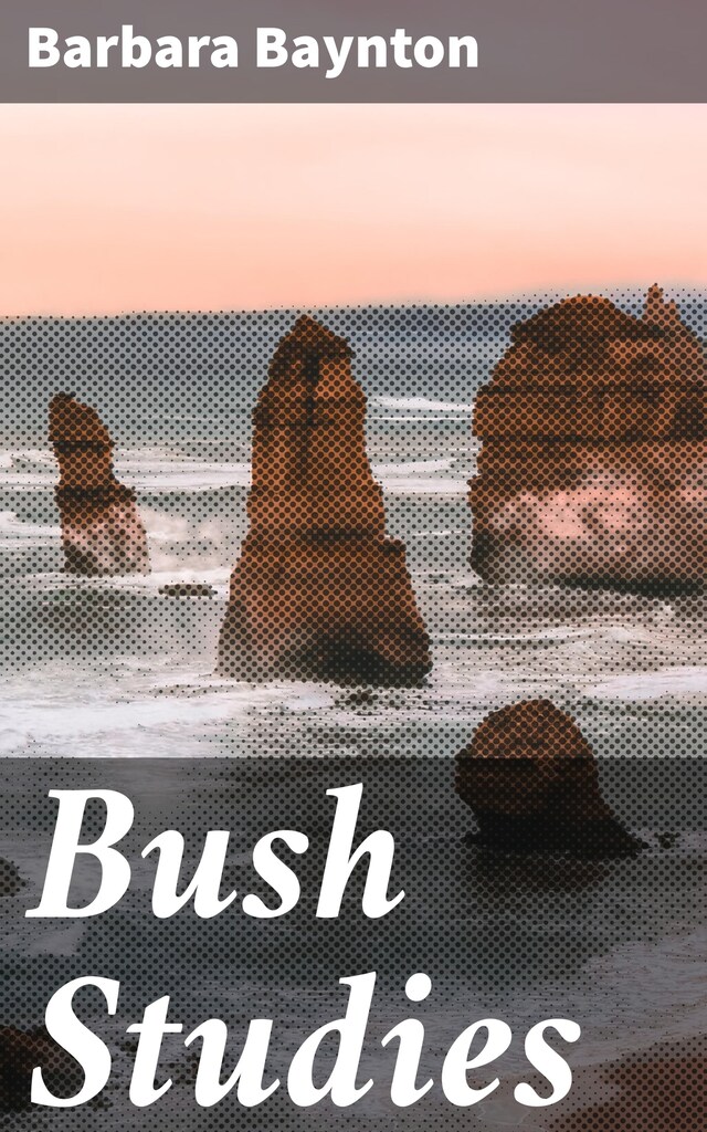 Portada de libro para Bush Studies