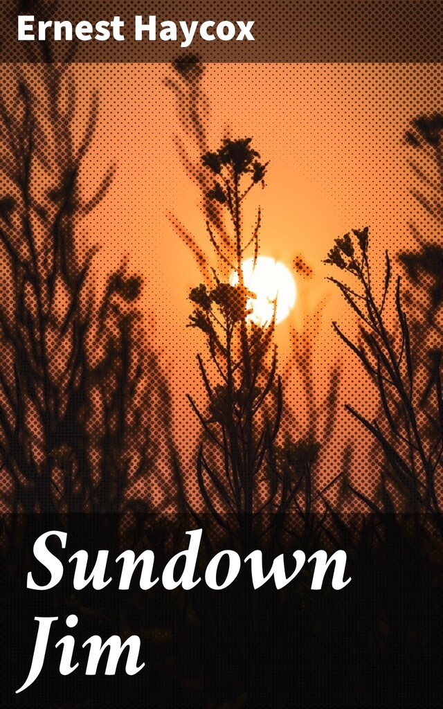 Boekomslag van Sundown Jim
