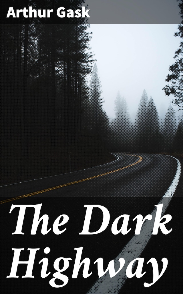 Bokomslag för The Dark Highway