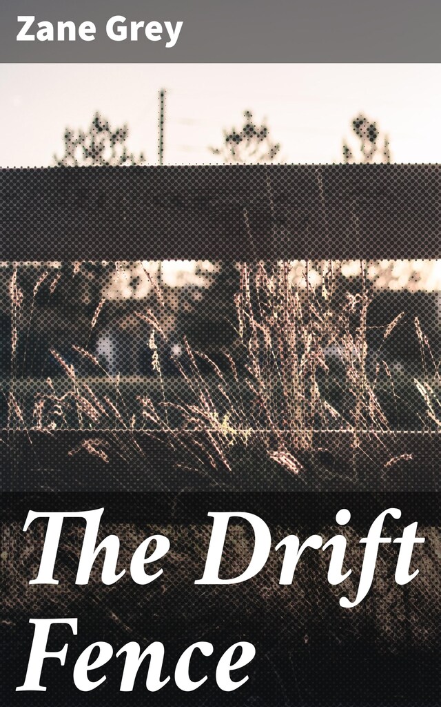 Book cover for The Drift Fence