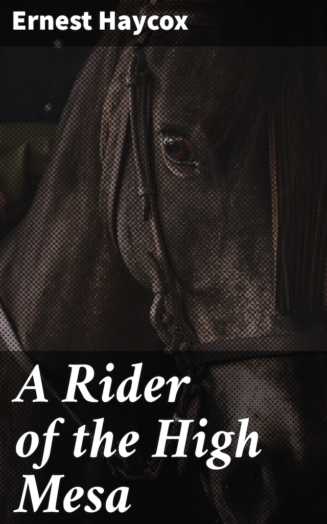 Boekomslag van A Rider of the High Mesa