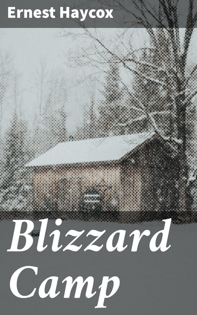 Book cover for Blizzard Camp