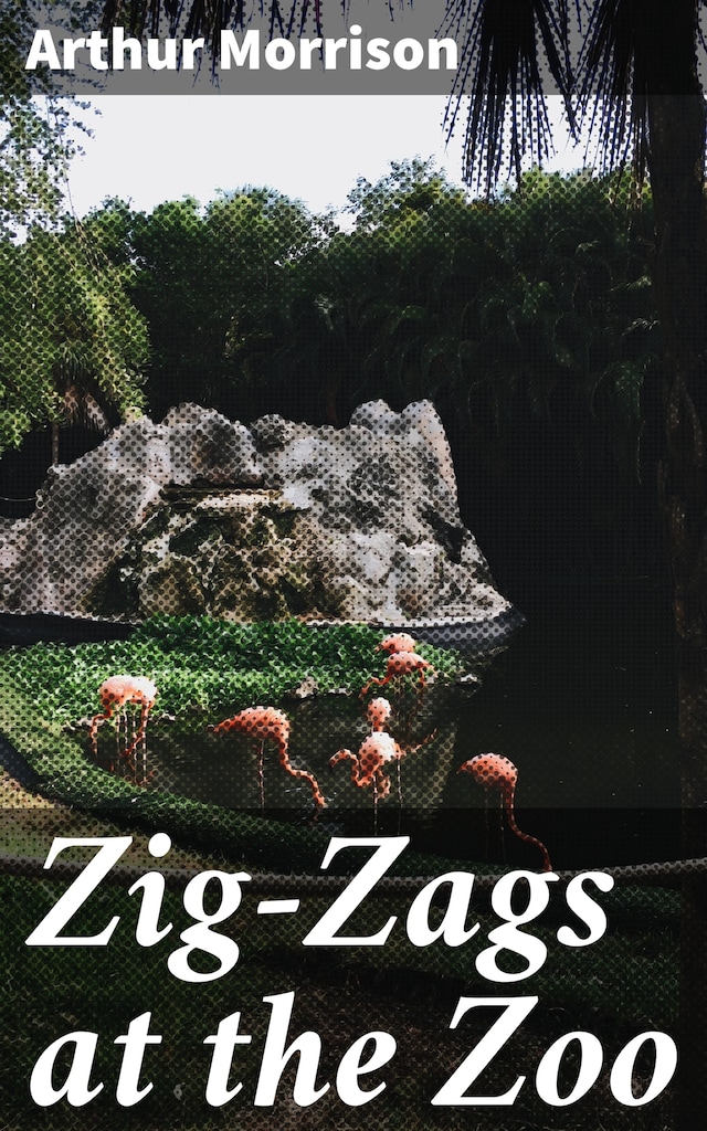 Book cover for Zig-Zags at the Zoo
