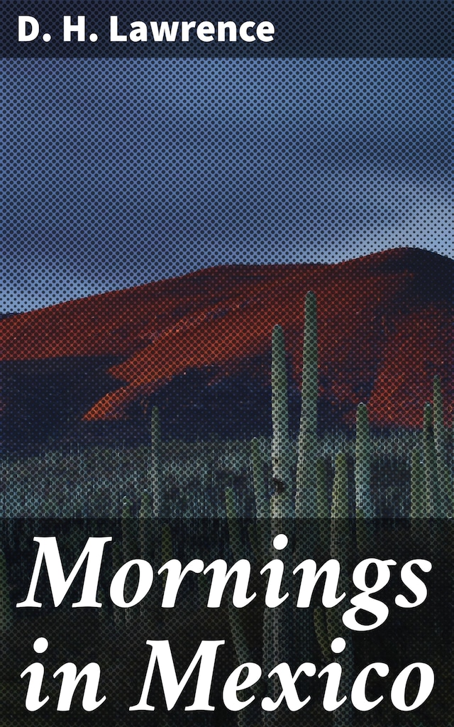 Book cover for Mornings in Mexico