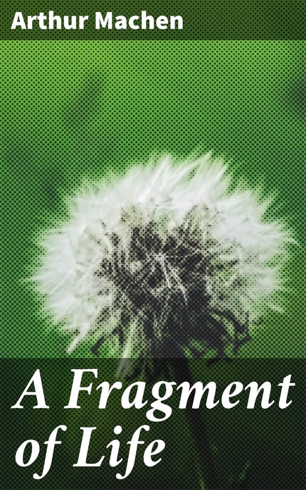A Fragment of Life bookCoverFor