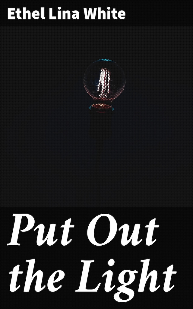 Book cover for Put Out the Light