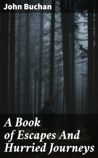 A Book of Escapes And Hurried Journeys bookCoverFor