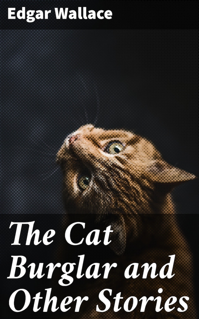 Copertina del libro per The Cat Burglar and Other Stories
