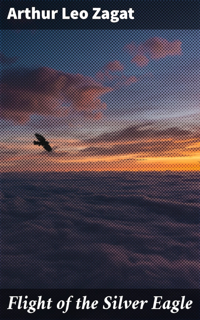 Copertina del libro per Flight of the Silver Eagle