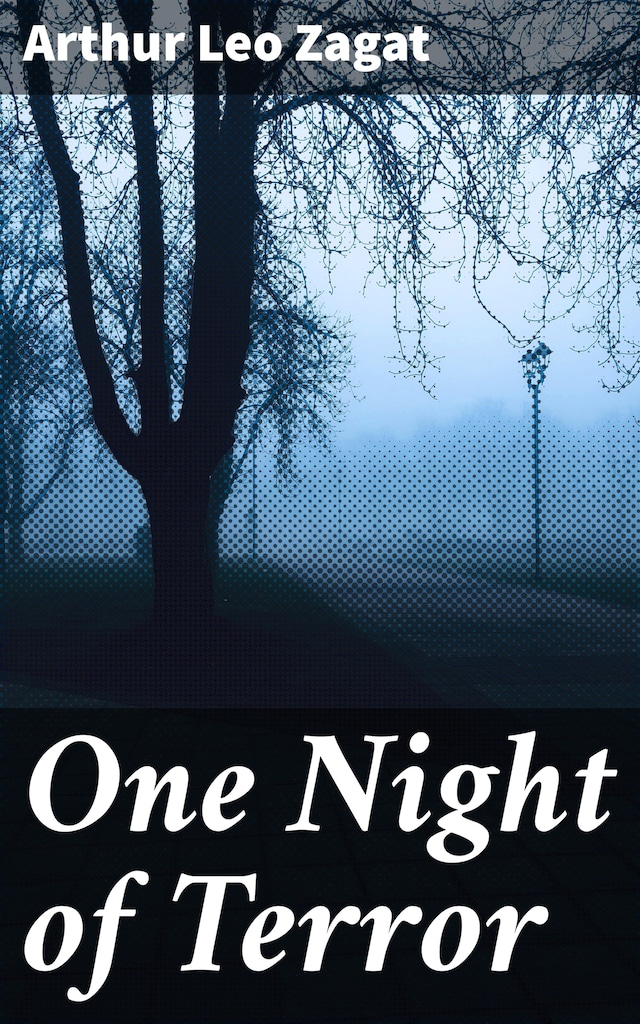 Boekomslag van One Night of Terror