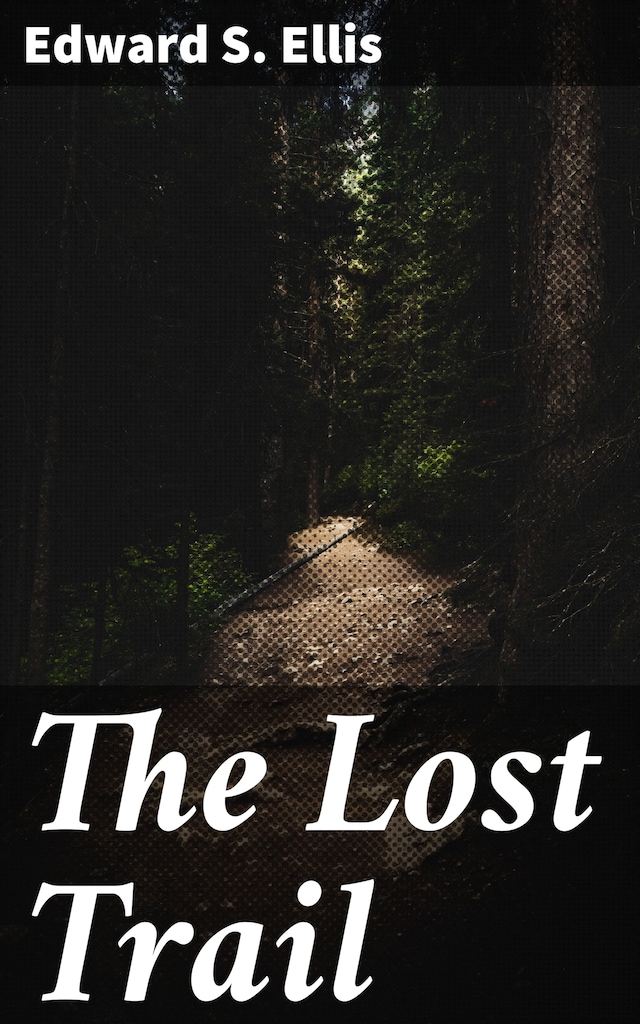 Book cover for The Lost Trail