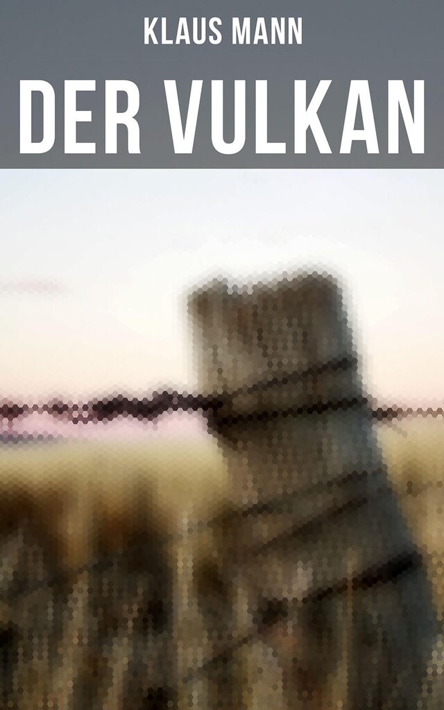 Book cover for Der Vulkan