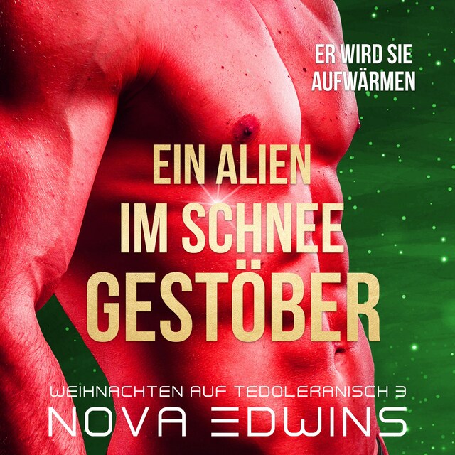 Book cover for Ein Alien im Schneegestöber