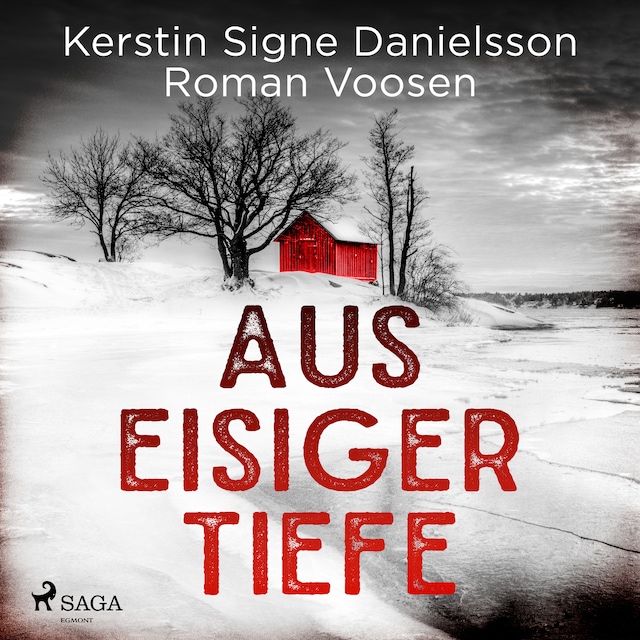 Book cover for Aus eisiger Tiefe