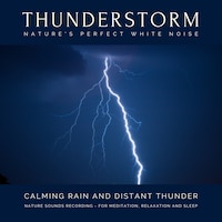 Calming Rain and Distant Thunder - Thunderstorm Nature Sounds Recording - for Meditation, Relaxation and Sleep - Nature's Perfect White Noise