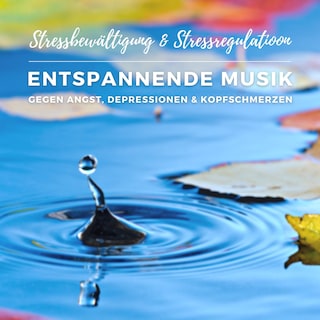 Stressbewältigung & Stressregulation: Entspannende Musik gegen Angst, Depressionen und Kopfschmerzen als Hörbuch