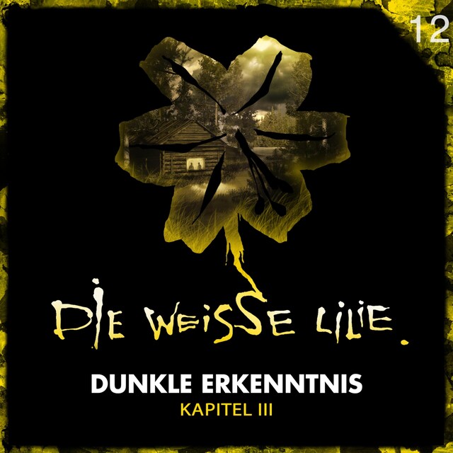 12: Dunkle Erkenntnis - Kapitel III Book cover for 12: Dunkle Erkenntnis - Kapitel III