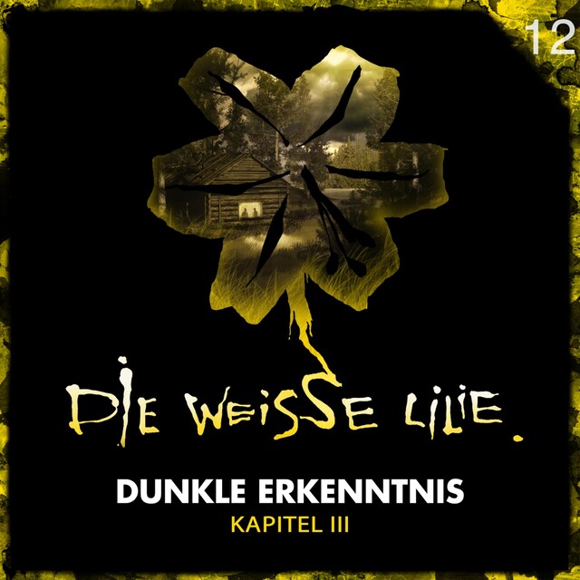 Buchcover für 12: Dunkle Erkenntnis - Kapitel III