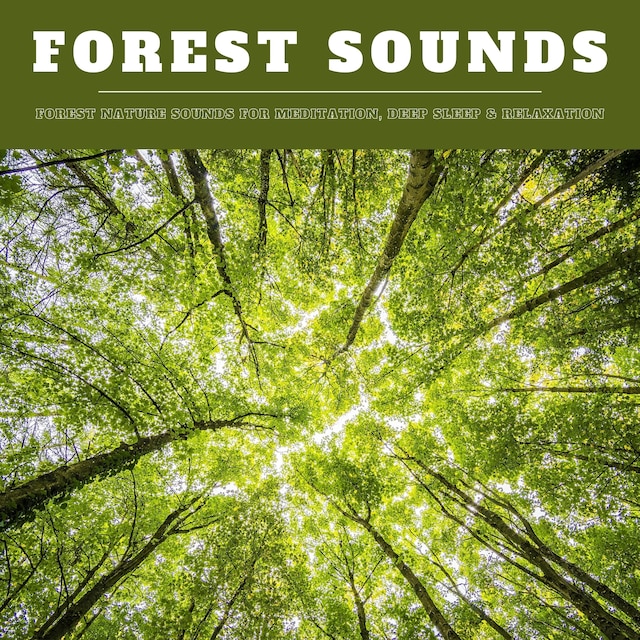 Boekomslag van Forest Sounds: Forest Nature Sounds for Meditation, Deep Sleep & Relaxation (XXL Bundle)