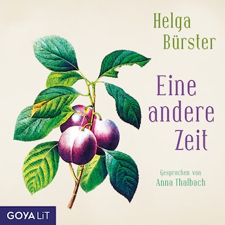 Eine andere Zeit als Hörbuch