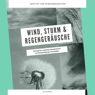 Wind, Sturm & Regengeräusche: Beruhigende, wohltuende Naturgeräusche für Stressbewältigung & Stressabbau als Hörbuch