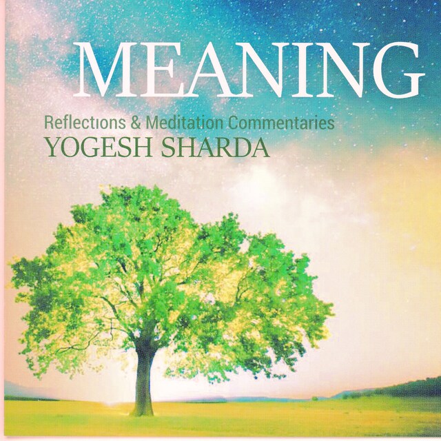 Copertina del libro per Meaning